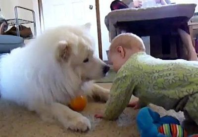 Βίντεο: Σκύλος και μωρό γίνονται οι καλύτεροι φίλοι!