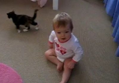 Βίντεο: Προσοχή, επίθεση!