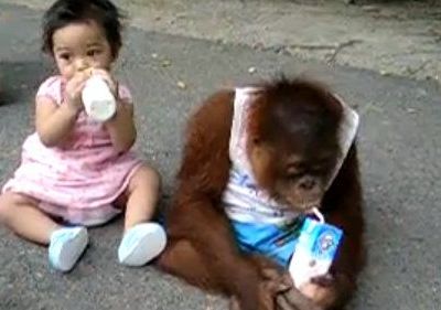 Βίντεο: Ο καθένας το γάλα του!