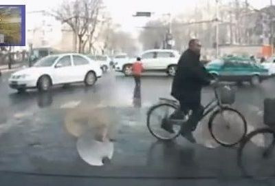 Περνάει ανάμεσα από τα αυτοκίνητα για παιχνίδι και σώθηκε!