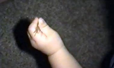 Βίντεο: Μπόμπιρας παίζει με ένα βατραχάκι όταν ξαφνικά…