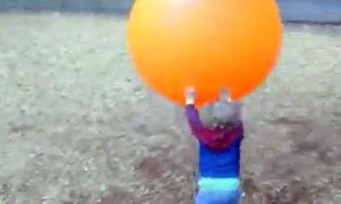 Βίντεο: Ο… πόλεμος ενός μπόμπιρα με μία τεράστια πορτοκαλί μπάλα!