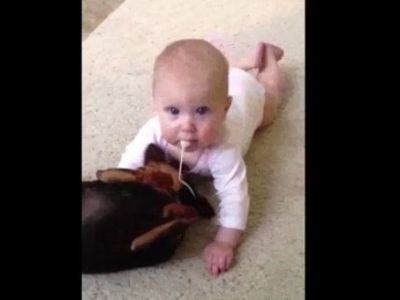 Απίθανο βίντεο με ένα μωρό και ένα κουτάβι!