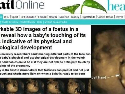 Το άγγιγμα θετικό σημάδι για την ανάπτυξη του εμβρύου