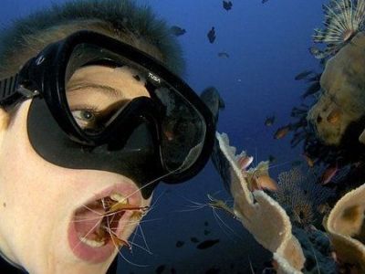 Απίστευτο: 13χρονο αγόρι καθαρίζει τα δόντια του στο βυθό με τη βοήθεια των γαρίδων!