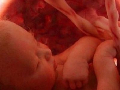 Δείτε το τρυφερό βίντεο με το έμβρυο να μεγαλώνει μέσα στην κοιλιά!