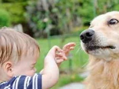 Το παιδί μου φοβάται τα ζώα! Τι να κάνω;