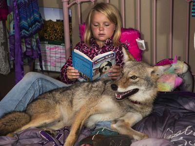 Το 8χρονο κορίτσι και το κογιότ έγιναν οι καλύτεροι φίλοι! (φωτογραφίες)