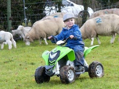 Ο καλύτερος βοσκός είναι μόλις 2 ετών! (εικόνες)