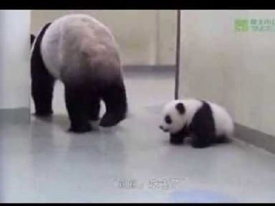 Η απίστευτη αντίδραση ενός μωρού πάντα, όταν η μαμά του προσπαθεί να το βάλει για ύπνο! (βίντεο)