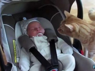 Συστήνουν το νεογέννητο στα κατοικίδιά τους! Πώς αντιδρούν; (εικόνες,βίντεο)