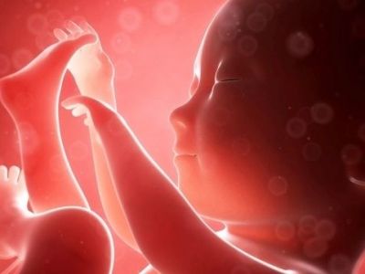 Αυτό το έμβρυο έχει γίνει θέμα σε όλον τον κόσμο. Δείτε για ποιο λόγο (εικόνα)