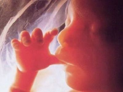 Εσείς γνωρίζατε ότι τα μωρά έχουν γευστικές προτιμήσεις πριν καν γεννηθούν;