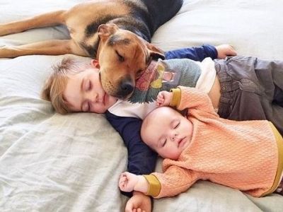 Το αγόρι που έγινε γνωστό επειδή κοιμόταν με το σκύλο του, έχει νέα παρέα στο κρεβάτι!