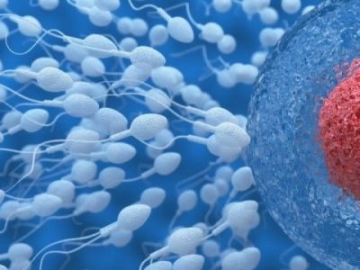 Αυτές είναι οι βασικές αιτίες της ανδρικής υπογονιμότητας