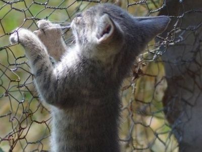 «Με δυο σπρωξίματα και την μητέρα μου στο πλευρό μου, κράτησα τον γιο μου στην αγκαλιά μου!»