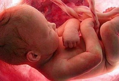 Οι 5+4 αλήθειες για τα έμβρυα που θα σας εκπλήξουν