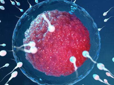 Σπερματέγχυση: Μάθετε τα πάντα για την πιο δημοφιλή μέθοδο υποβοηθούμενης αναπαραγωγής