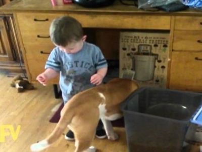 Δείτε τι συμβαίνει στο μικρό αγόρι ενώ προσπαθεί να ταΐσει τον σκύλο του (βίντεο)