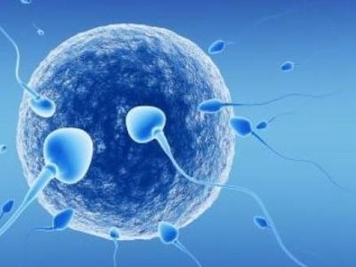 Εξωσωματική γονιμοποίηση και ενδοκυτοπλασμική έγχυση σπέρματος (ICSI)