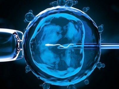 Εξωσωματική γονιμοποίηση: Η διατροφή που προστατεύει τις γυναίκες από τα χημικά των συσκευασιών