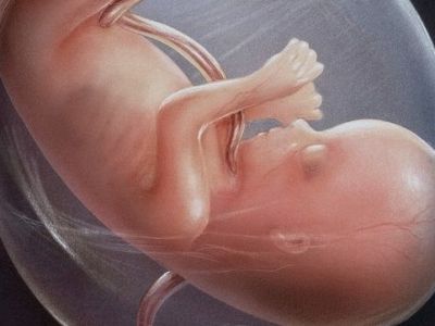 Νέο εξωσωματικό ρεκόρ:'Εμβρυο διατηρήθηκε ζωντανό έξω από τη μήτρα για 13 ημέρες!