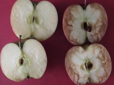 Το συγκλονιστικό παράδειγμα μιας δασκάλας για τις εσωτερικές «μελανιές» που προκαλεί το bullying