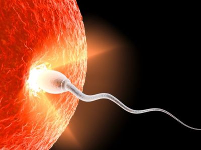 Γυναικεία γονιμότητα: Πώς να την προστατεύσουμε και να την αυξήσουμε