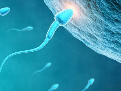 Ανδρική γονιμότητα: Υπάρχει ένα λαχανικό που την ενισχύει