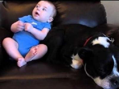 Είναι μαζί με το μωρό στην πολυθρόνα όμως ξαφνικά ο σκύλος φεύγει. Δείτε τον ξεκαρδιστικό λόγο (vid)