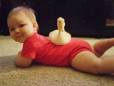 Η καλύτερη φίλη και προστάτης αυτού του αγοριού είναι... μια πάπια! (εικόνες)