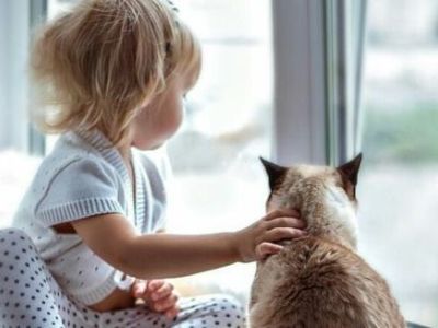 Ερωτηματολόγια ανάπτυξης και συμπεριφοράς για γονείς σε παιδιά 16-20 μηνών