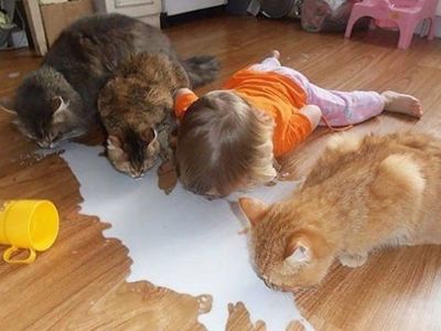 10 φωτό που αποδεικνύουν γιατί δεν πρέπει να αφήνετε μόνα τα παιδιά με τα κατοικίδια