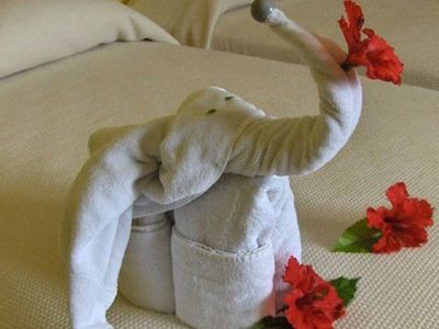 Οι φωτογραφίες έκπληξη που έστελνε κάθε μέρα ένας μπαμπάς στο παιδί του