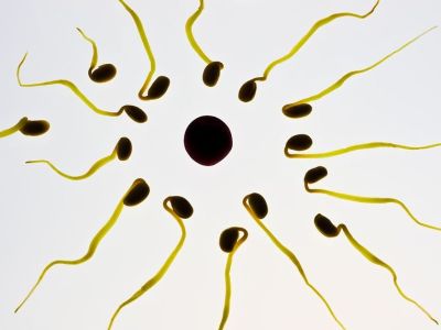 H ηλιοφάνεια και η χαλάρωση του καλοκαιριού αυξάνουν τη γονιμότητα σε άνδρες και γυναίκες