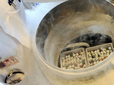 Κατάψυξη ωαρίων: μια «ευκαιρία» που απαιτεί πλήρη και εξατομικευμένη ενημέρωση