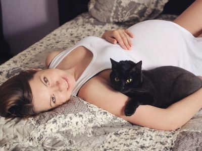 Τοξοπλάσμωση και εγκυμοσύνη: Τι κινδύνους κρύβει; (vid)