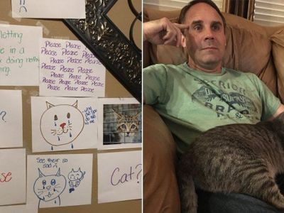 Δεν υπάρχει ο τρόπος που εφηύρε μία κόρη για να πείσει το μπαμπά της να πάρουν μία γάτα