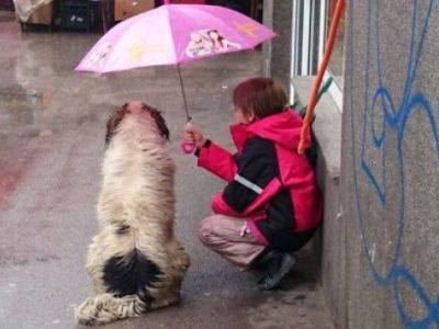 Παιδιά παραδίδουν μαθήματα ανθρωπιάς κι ελπίδας για το μέλλον (pics)