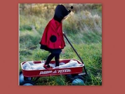 Αποκριάτικη στολή για κορίτσια: Πασχαλίτσα