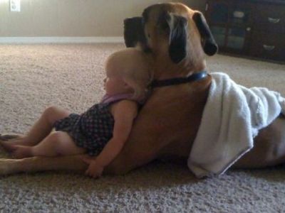 Αν πιστεύετε ότι τα παιδιά σας δεν χρειάζονται ένα σκύλο, με αυτές τις φωτογραφίες θα αναθεωρήσετε