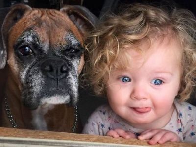 Φωτογραφίες που δείχνουν τη φιλία ανάμεσα σε ένα παιδί και έναν σκύλο (pics)