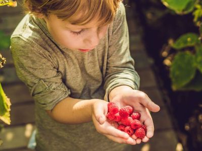 Μπορεί ένα παιδί να είναι χορτοφάγος;