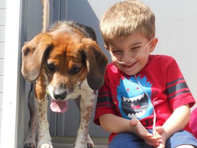 Παιδιά με αναπηρία: Πώς οι σκύλοι-βοηθοί μπορούν να αλλάξουν τη ζωή τους