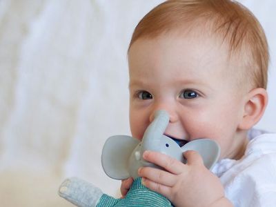 Δώρο για νεογέννητο: Βρεφικό παιχνίδι δραστηριοτήτων «Ελεφαντάκι»