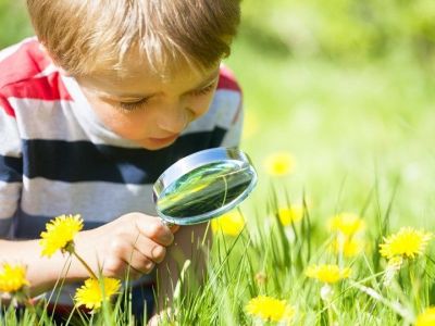 Εντομοσκόπιο διαφανές για τους μικρούς εξερευνητές της φύσης