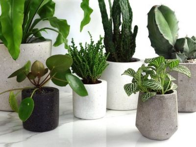 Φτιάξε το πιο όμορφο βάζο από τσιμέντο