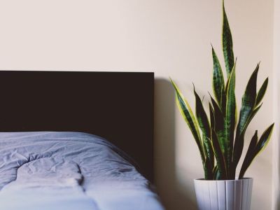 Ιδέες διακόσμησης για το πιο minimal φοιτητικό υπνοδωμάτιο