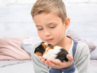 Αγορίστικες φόρμες κάτω από 20 ευρώ