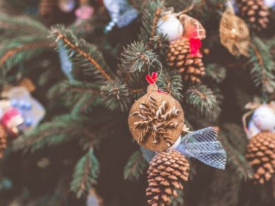 Χριστουγεννιάτικες κατασκευές με κουκουνάρια - Δείτε τι μπορείτε να φτιάξετε (vid)